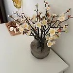 Sofias Trikala Апартаменты