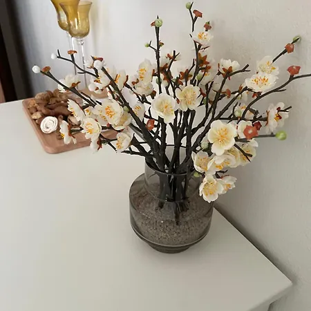 Sofias Trikala Lägenhet