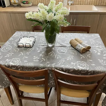 Lägenhet Sofias Trikala *