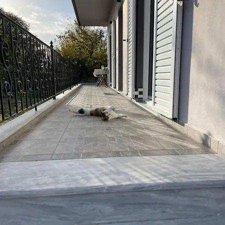 Sofias Trikala