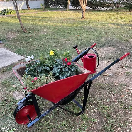 Sofias Trikala