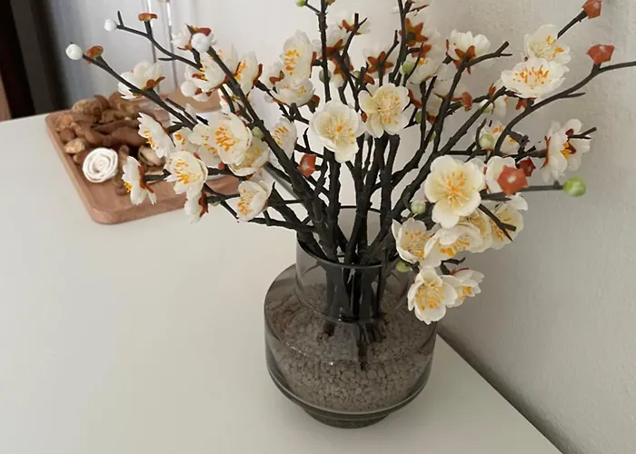 Sofias Trikala Διαμέρισμα