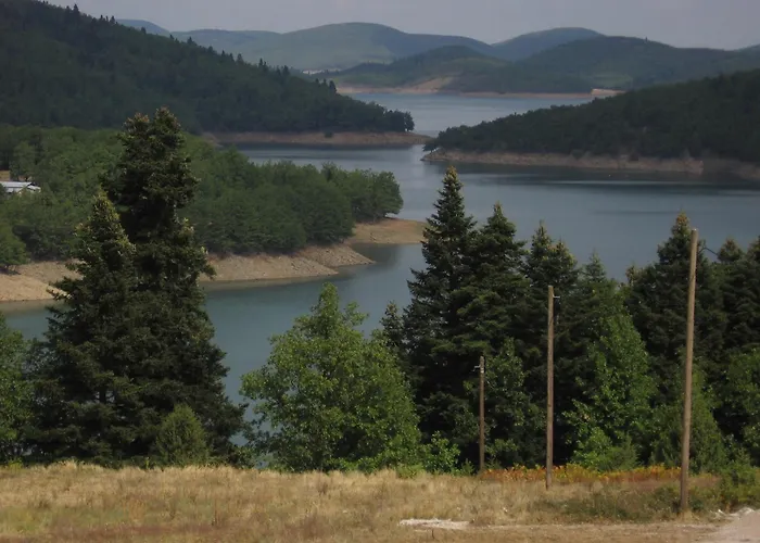 Sofias Trikala Διαμέρισμα Megala Kalyvia